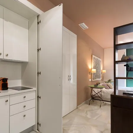 公寓 灯火大教堂公寓 *