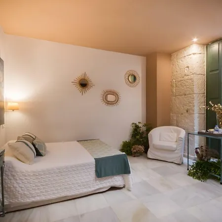 Luces De Catedral Alicante